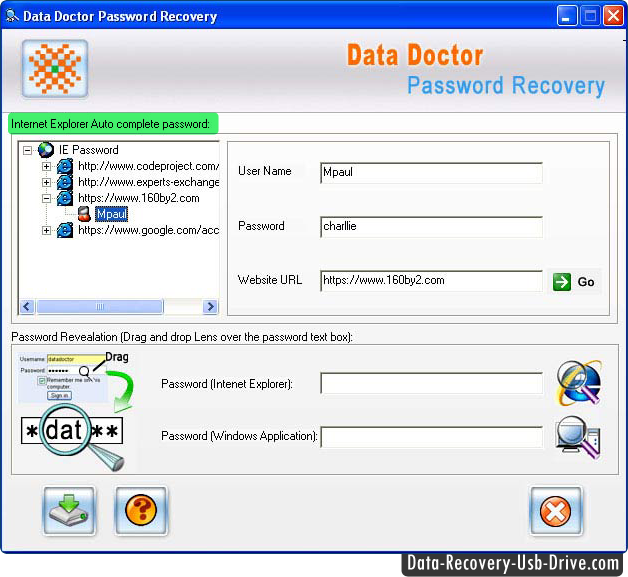 Internet explorer password recovery