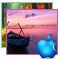 icon